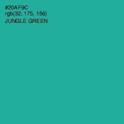 #20AF9C - Jungle Green Color Image